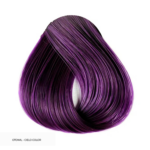 Purpura
