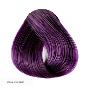 Purpura